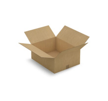 Caisse carton brune simple cannelure RAJA 50x40x20 cm (colis de 20)