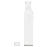 vidaXL Petites bouteilles en verre 260 ml avec bouchon à vis 20 Pièces