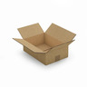 Caisse carton brune double cannelure RAJA 31x22x10 cm (colis de 15)