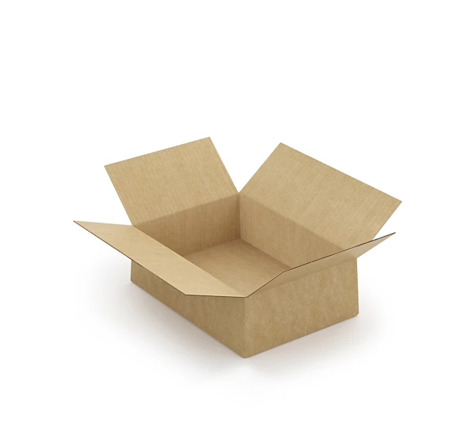 Caisse carton brune simple cannelure à montage instantané raja 31x22x10 cm (lot de 20)