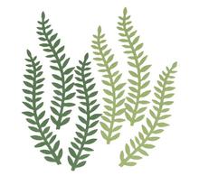 6 feuilles de papier plantes vertes