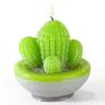 Kit de fabrication bougies cactus