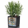 Lechuza jardinière de table cube color 16 all-in-one anthracite