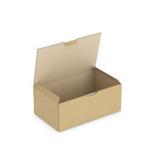 Boîte carton brune d'expédition RAJAPOST 25x15x10 cm (colis de 50)