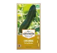 Concombre Vert Long Maraicher bio - Graines à semer