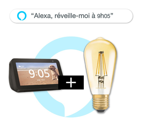 Pack "Alexa réveille-moi à 9h05" : Amazon Echo Show 5 + Ampoule vintage Wi-Fi PlugnSay 1874 Bulb