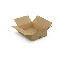 Caisse carton plate brune simple cannelure RAJA 40x30x10 cm (colis de 25)