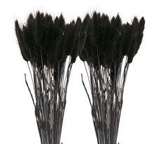 12 tiges de lagurus séchés noirs - 45 cm