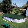 Summer Fun Couverture de piscine d'hiver Ovale 800 cm PVC Vert