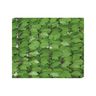 Haie artificielle jeunes feuilles de lierre en rouleau 1 x 3 m