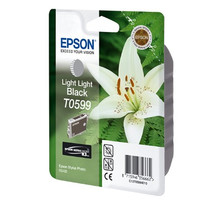 EPSON T0599