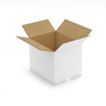 Caisse carton blanche double cannelure RAJA 48,5x38,5x40 cm (colis de 10)